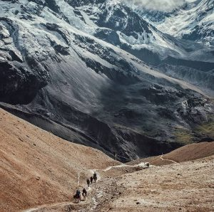 Adventure Explorer and Mountaineer
